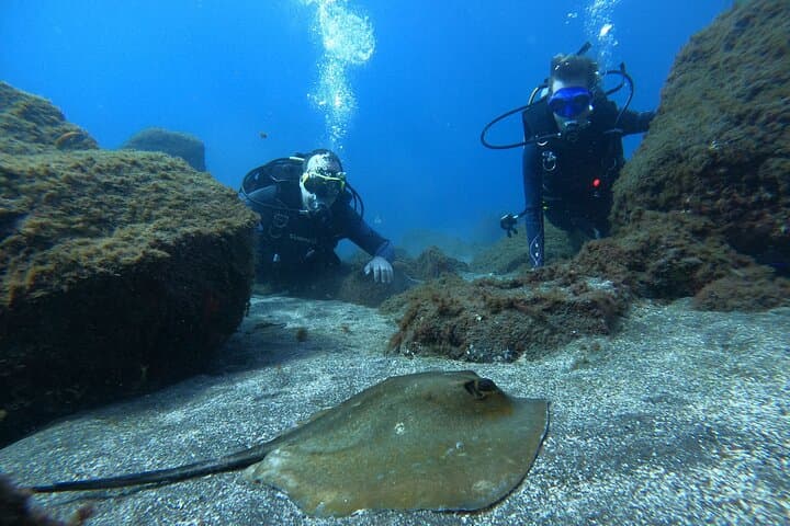 Bautizo de Buceo en Tenerife