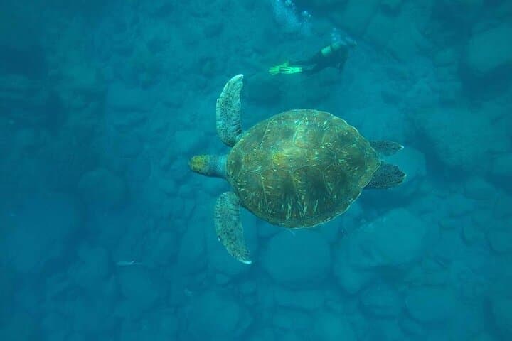Bautizo de Buceo en Tenerife