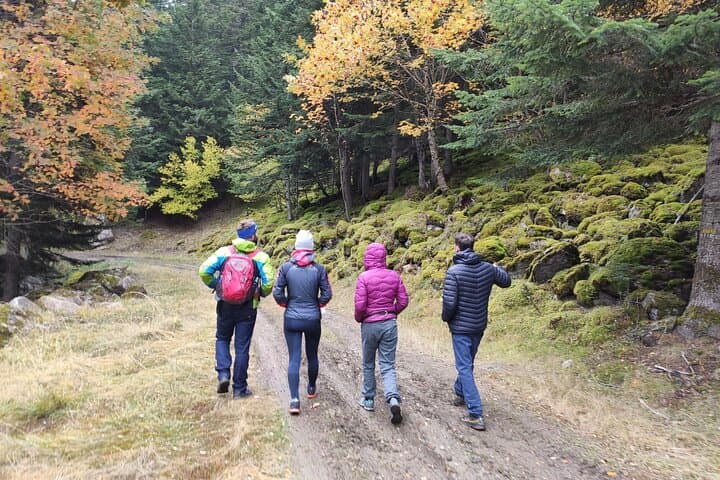 Pyrenees Hiking Experience from Barcelona. Small Group Tour