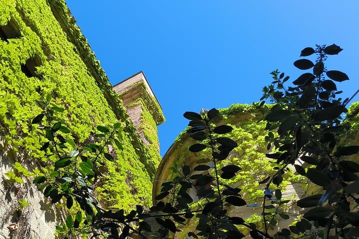 Olite Royal Palace & Local Wine Experience with Gastronomic Lunch