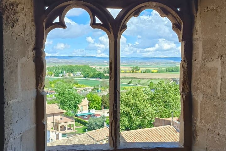 Olite Royal Palace & Local Wine Experience with Gastronomic Lunch