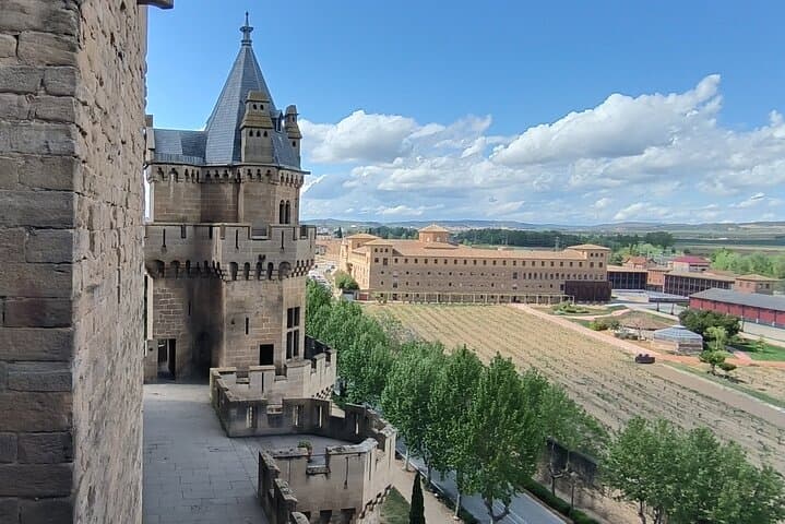Olite Royal Palace & Local Wine Experience with Gastronomic Lunch