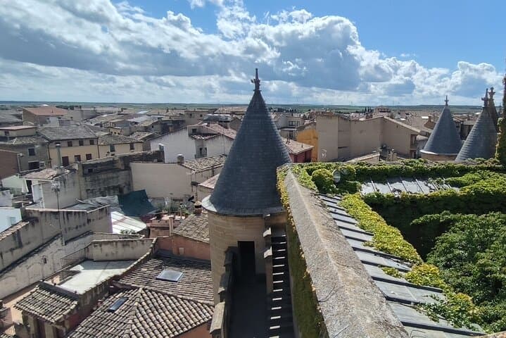 Olite Royal Palace & Local Wine Experience with Gastronomic Lunch