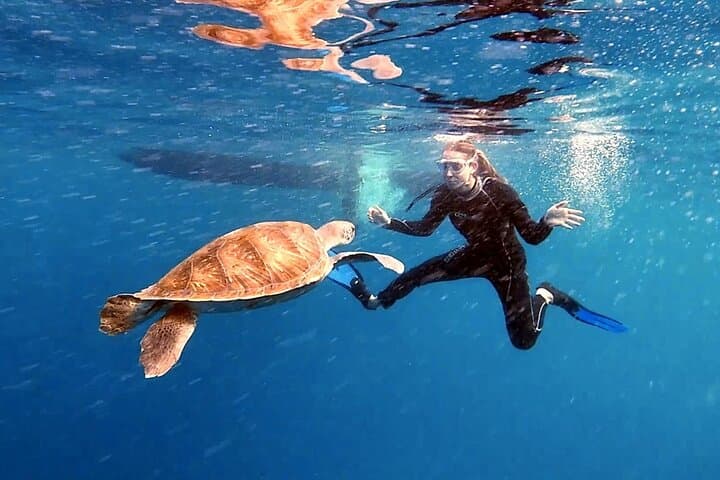 Snorkeling excursion in the Rayas and Turtles Zone