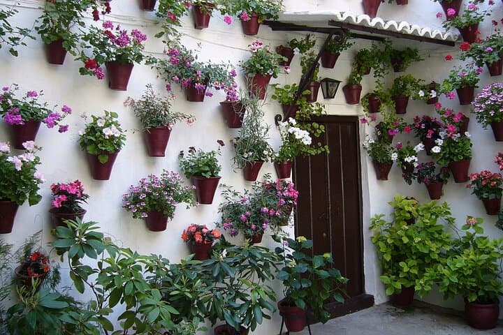 3-hour Private Tour of Córdoba