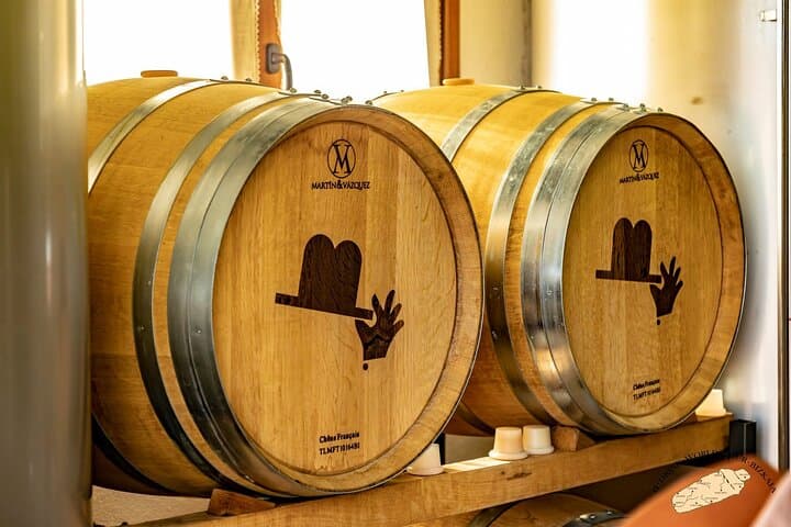 Private Basque Vineyard Visit: Txakoli Wine Tasting from Bilbao