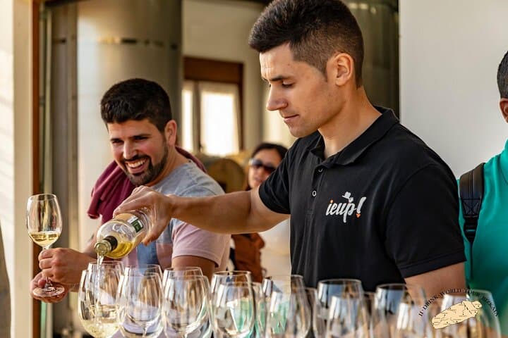 Private Basque Vineyard Visit: Txakoli Wine Tasting from Bilbao