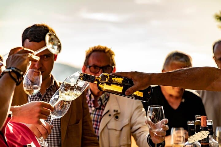 Private Basque Vineyard Visit: Txakoli Wine Tasting from Bilbao