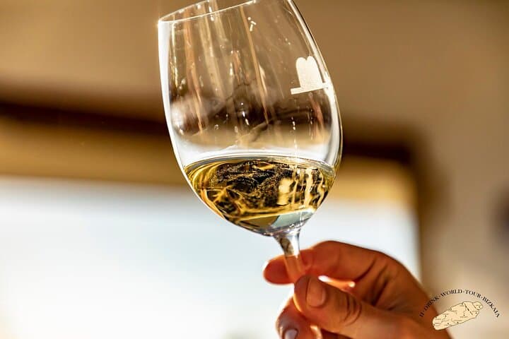 Private Basque Vineyard Visit: Txakoli Wine Tasting from Bilbao