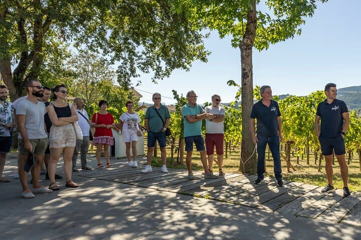 Private Basque Vineyard Visit: Txakoli Wine Tasting from Bilbao