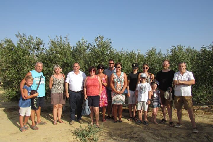 Guided tours suitable for families