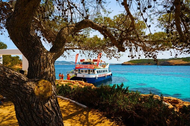 Dock At Cala Bassa
