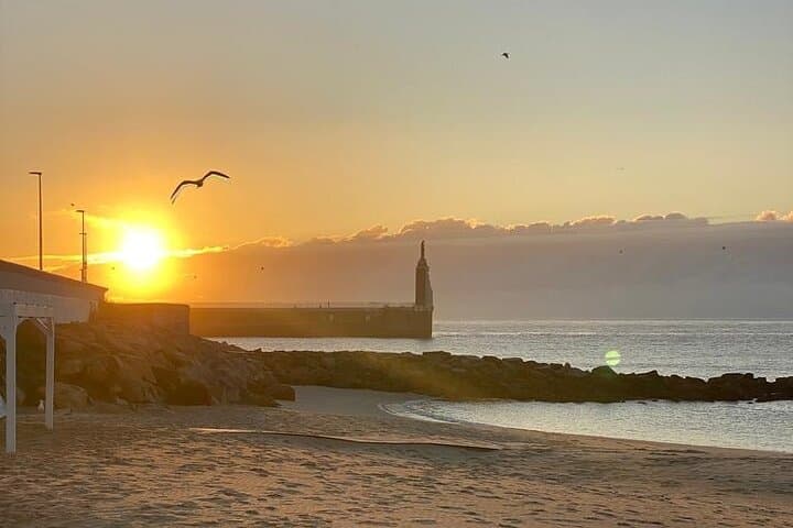 Discover Tarifa by Swimming: Learning and Exciting Routes