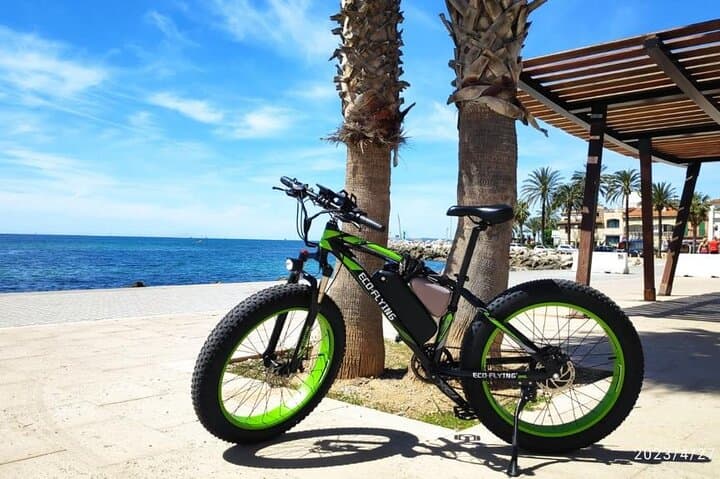 Exclusive Fat Tire E-Bike Tour in Palma