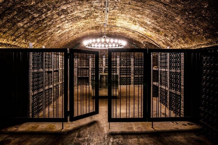 The cellar