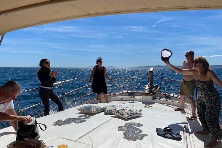 2h boat trip looking for dolphins in Estepona/drink&snacks