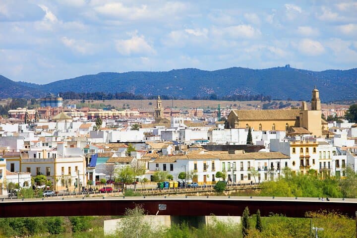 Cordoba Private Custom Walking Tour With A Guide (Private Tour)