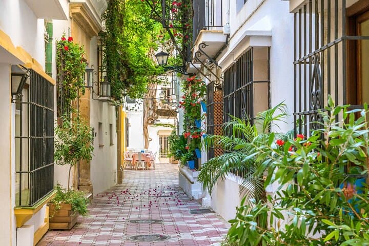 Private Custom Tour With a Local Guide Marbella