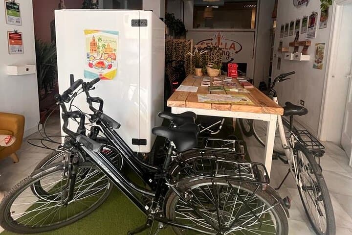 Bicycle rental for 6 hours in Seville