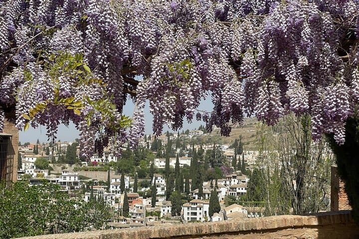 Private Granada Tour to the Alhambra VIP Tickets included