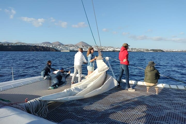 Whale & Dolphin Observation on Silent Catamaran with Hydrophone