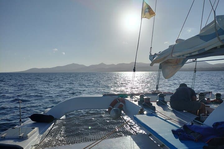 Small Group Dolphin Sunset Tour on Electric Catamaran Lanzarote