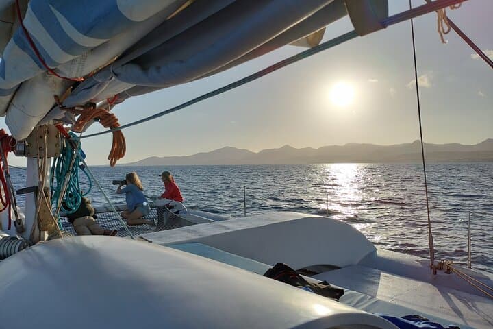 Small Group Dolphin Sunset Tour on Electric Catamaran Lanzarote