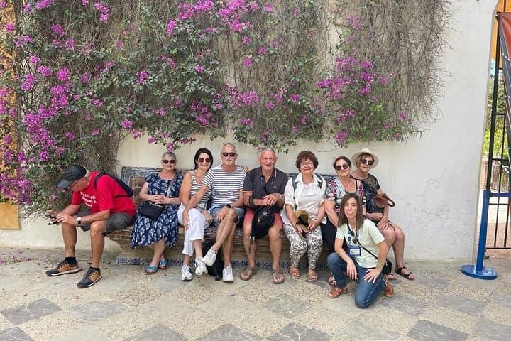 Seville Private Custom Walking Tour With A Guide