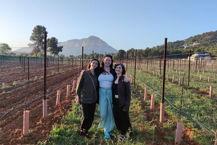 Sunset among Vineyards with Tasting in Alicante (min 6-12 people)