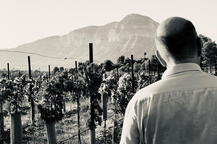 Sunset among Vineyards with Tasting in Alicante (min 6-12 people)