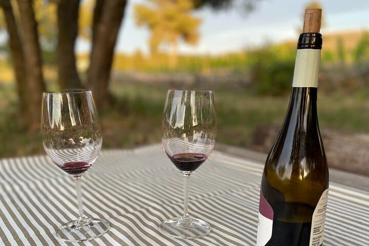 Sunset among Vineyards with Tasting in Alicante (min 6-12 people)