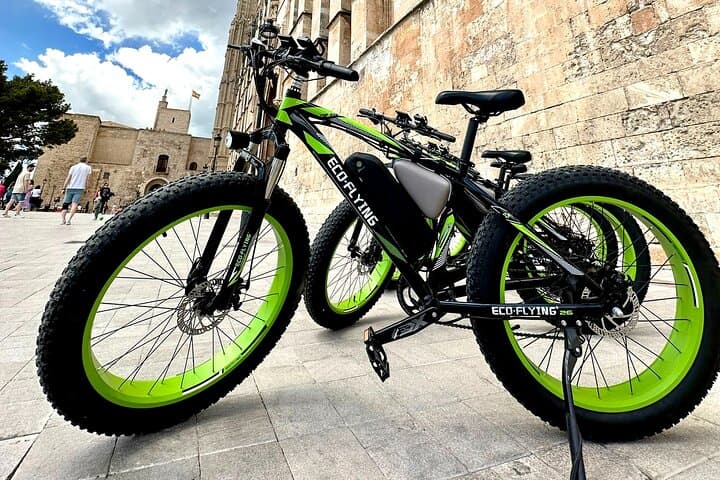 Exclusive Fat Tire E-Bike Tour in Palma