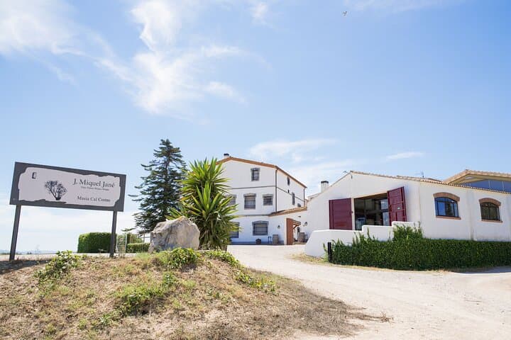 Viticulture and Wine-Tasting 3-Hour Trip from Barcelona