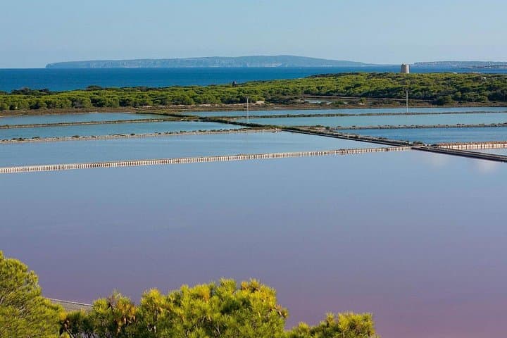 TOUR around the JEWELS of IBIZA SALT BEDS, ES VEDRA, TIME & SPACE