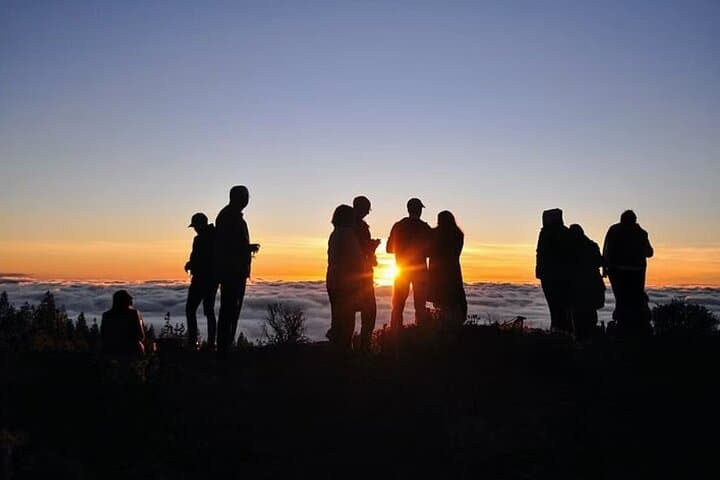 TEIDE NIGHT, Stargazing Bus Tour, Meal & Drinks included!