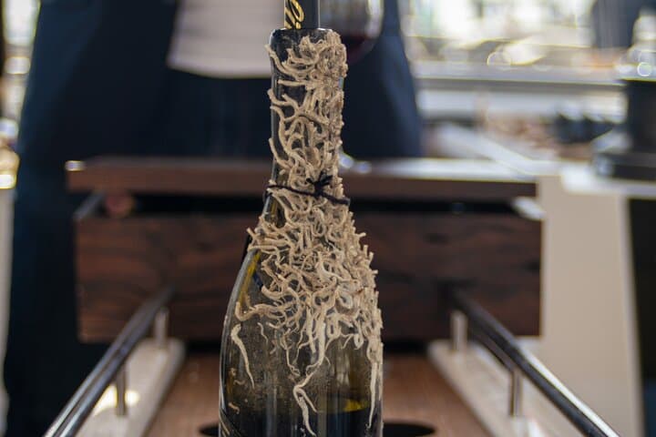 Sailing Tour and Tasting of Submarine wines on board