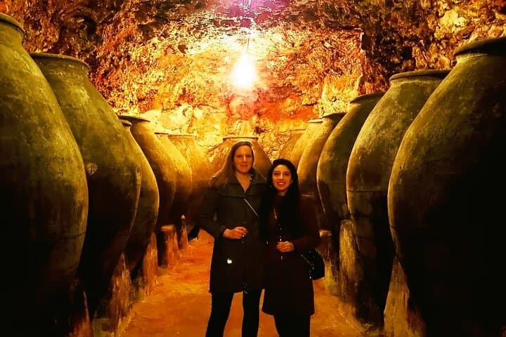 Half-Day Tour to 2 Wineries in Madrid and Chinchon Region