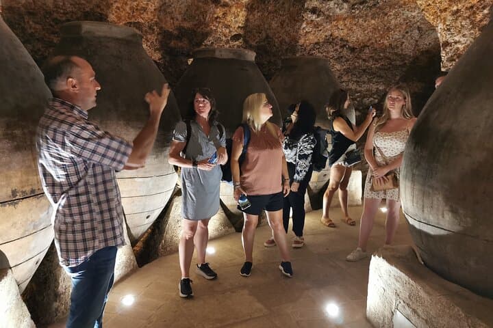Half-Day Tour to 2 Wineries in Madrid and Chinchon Region
