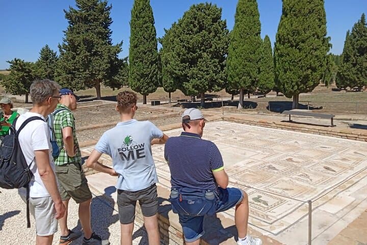 5 hour Electric Bike Tour to the Ruins of Italica