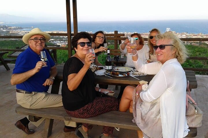 Wine and tapas tasting facing the sea at Viña del Peñoncillo