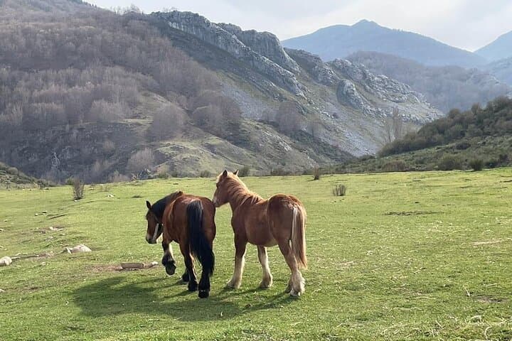 The best of the Picos de Europa and surroundings in 4 days of Trekking
