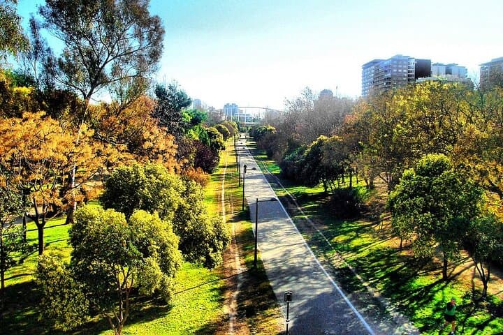 Exclusive 2-Hour Private Bike Tour in Valencia