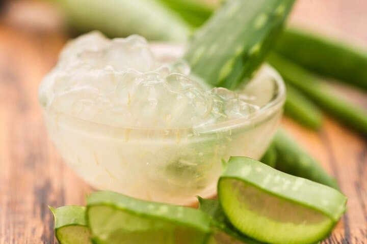 Aloe Vera