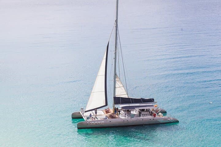 Fuerteventura boat trip - jandia beach - catamaran tour - search for dolphins and whales