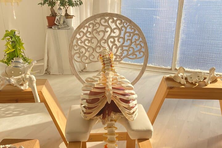 Private Somatic Experience in Barcelona