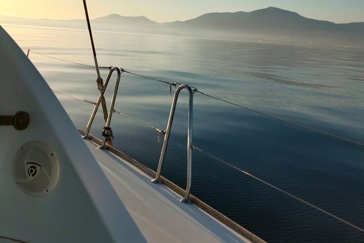 Dolphin trips on a catamaran