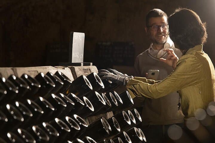 Private half-day Cava winery tour & tasting