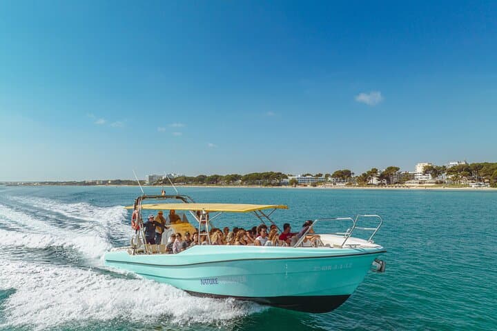 Enjoy crystal clear waters for 2 hours