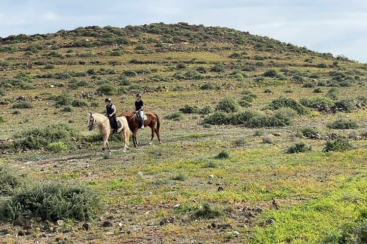 Relaxing Horse Riding Tour in Gran Canaria