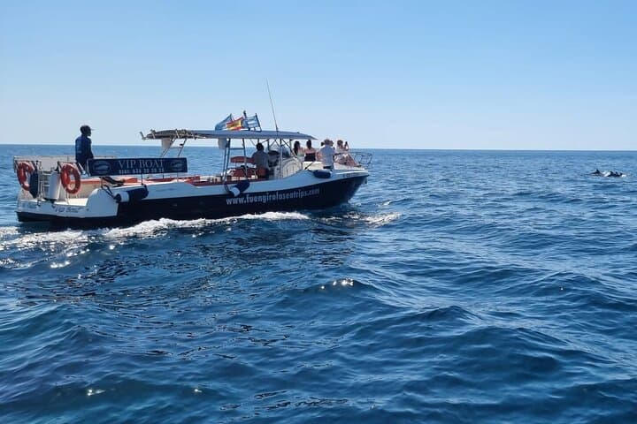 boat sailing